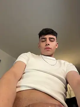 aronnhidden