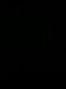 greck19 webcam