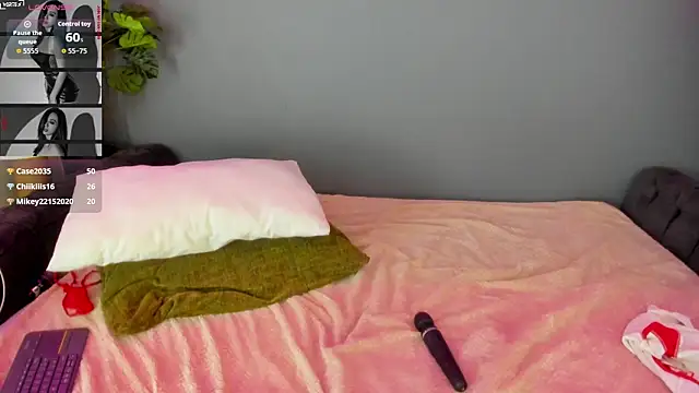 Abbyy_stone webcam