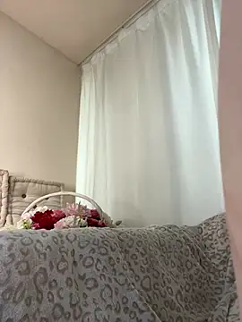 MiraXS webcam