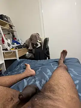 meta_dili webcam