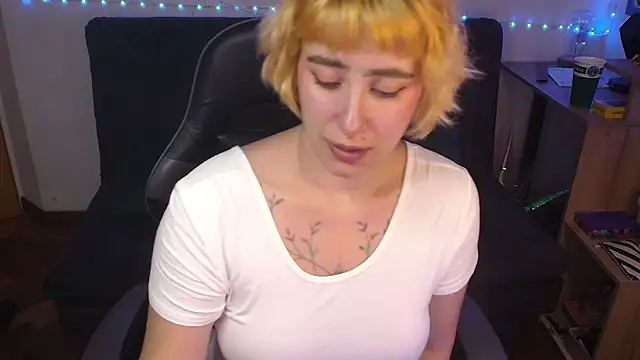 Miacatsito3 webcam