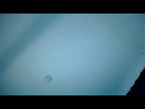 jack_vega1 webcam