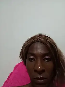 ameralis31 webcam