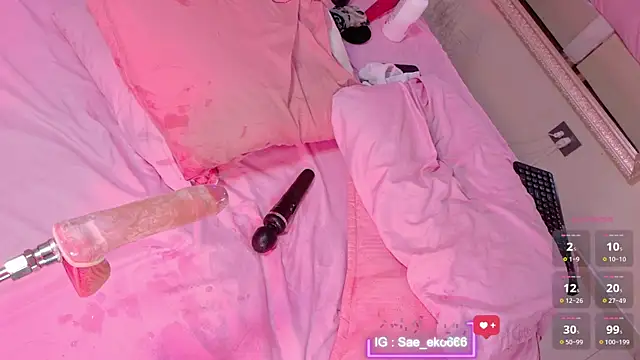 Saekohofman webcam