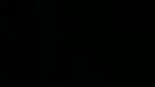 dussan webcam