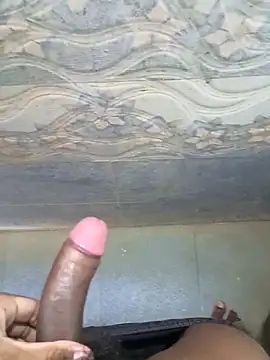 Bull_For_Cuckolds_Vizag webcam