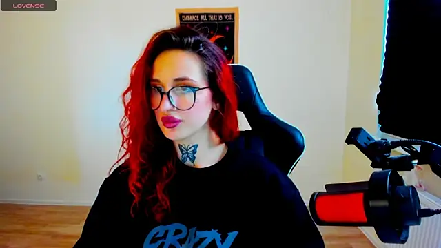 your_tora webcam