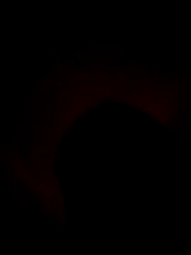 dickblack2026 webcam