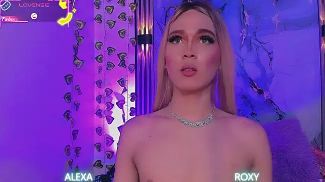 Roxy_alexa webcam