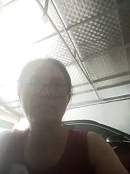 Vieekee webcam