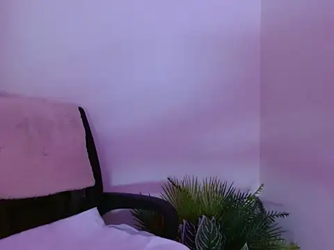 Borra2026 webcam