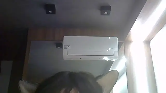 SkinnyKitten webcam