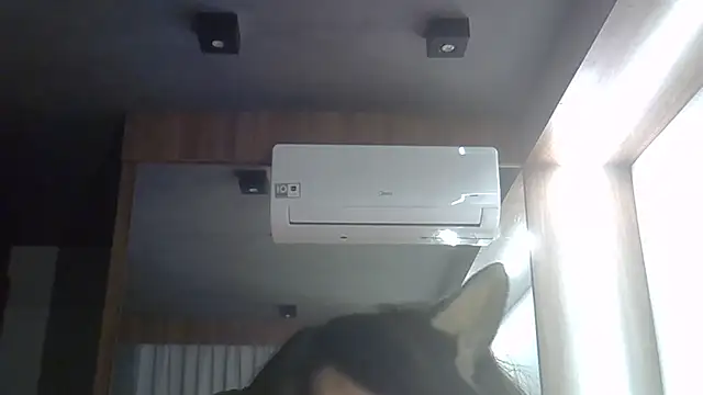 SkinnyKitten webcam
