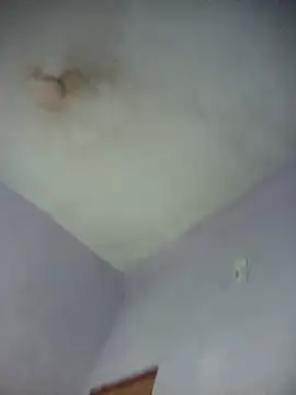 Hansikatelugu webcam
