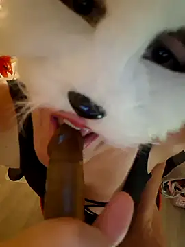 SPrITZMAUS webcam