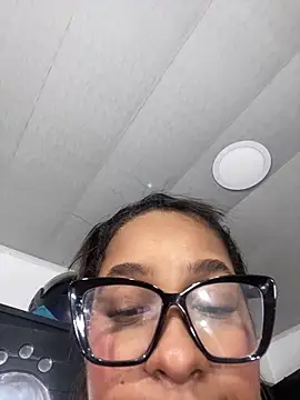 NV-Nikoll webcam
