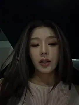BBi-0329 webcam