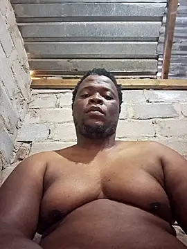silverbearboy webcam