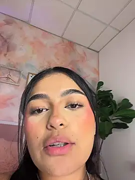 EvasBlazeXXX webcam