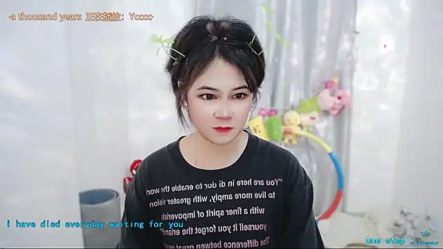Fan_ting webcam
