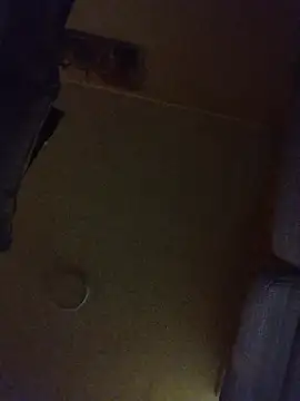 Saweetieyblacksnake webcam