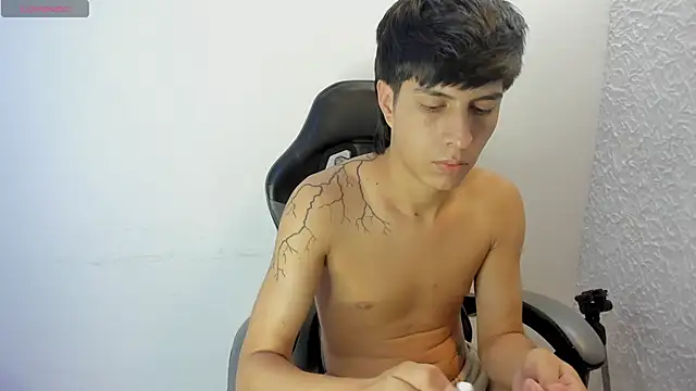 Estiv18_ webcam