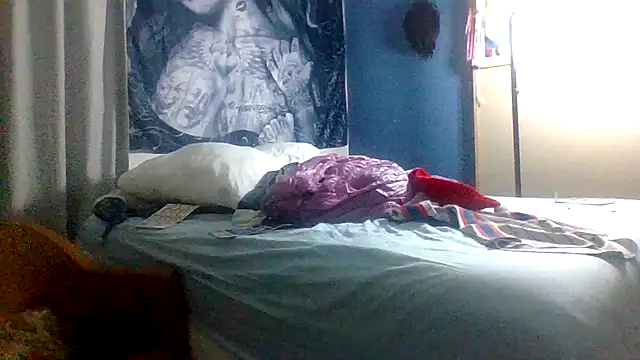 Dicksee_Left webcam