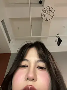 AAin-00 webcam