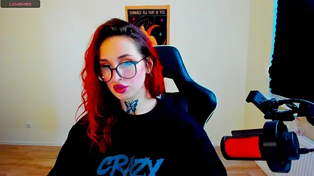 your_tora webcam