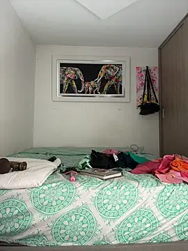 linatarens webcam