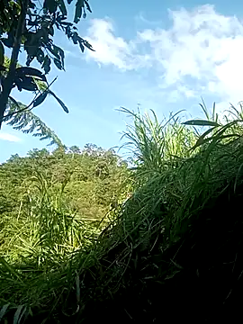 nangmo webcam