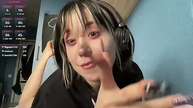 AueshaSimon webcam