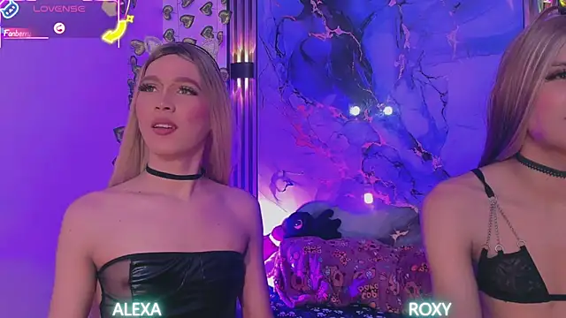 Roxy_alexa webcam
