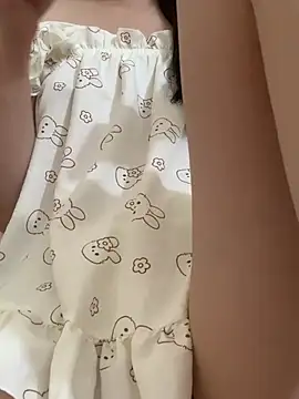 Summ_vn webcam