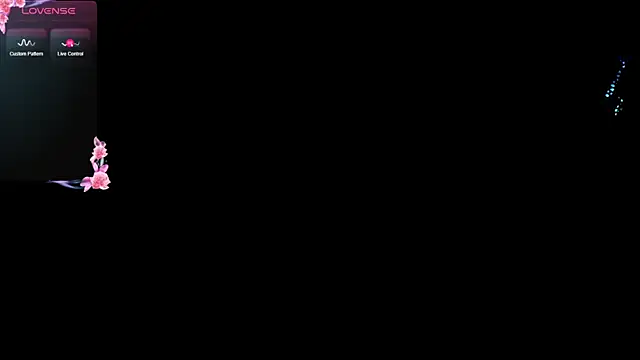 Little_Ethaan webcam