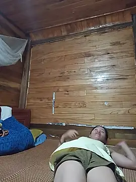 Td3di webcam