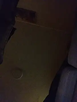 Saweetieyblacksnake webcam