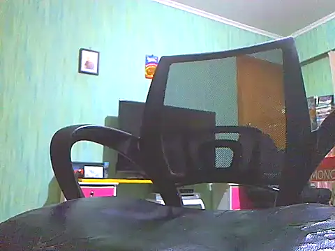megaboy411 webcam