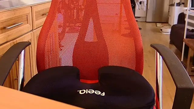 Lisa_Sack webcam
