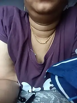 Hansikatelugu webcam