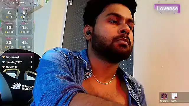 SilverShade3 webcam