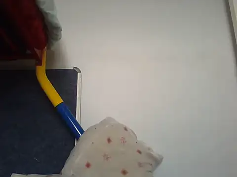 lavelle26 webcam