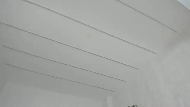 TiffanyHouston_ webcam
