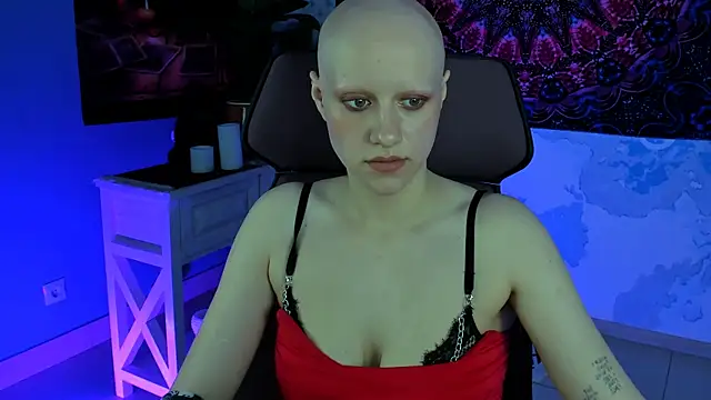 LidaDarknet webcam