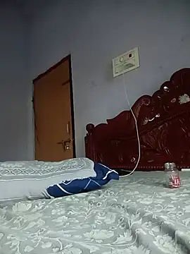 Hansikatelugu webcam