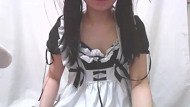 humanRobotSaki webcam