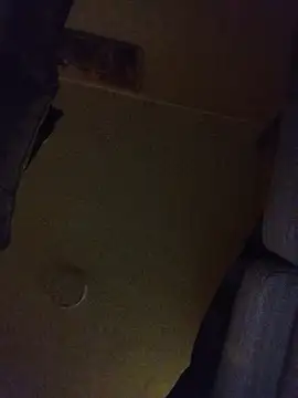 Saweetieyblacksnake webcam