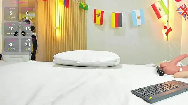 ammy_shell webcam