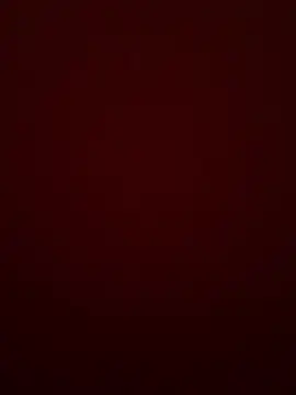 Wassimdz410 webcam